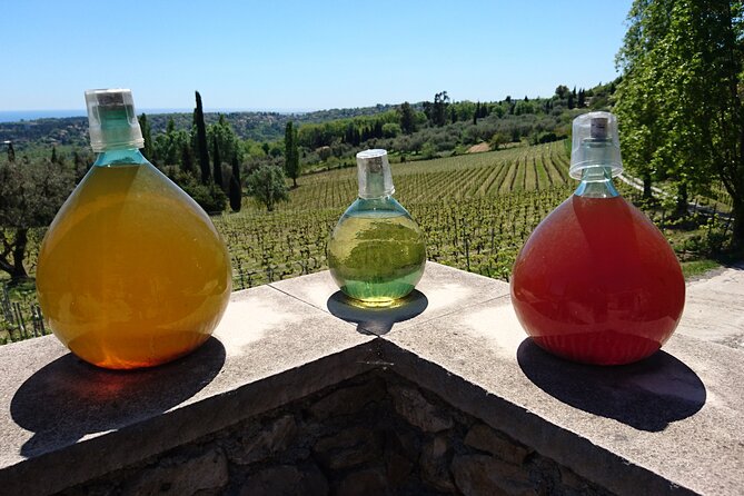 Provence Wine Tour - Private Day Tour from Antibes - The Wine Tasting Masterclass, What You Can Actually Take Home