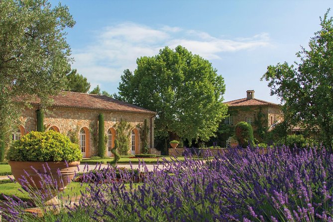 Provence Wine Tour - Private Day Tour from Cannes - Rosé, Whites, and Reds: What You’ll Actually Taste