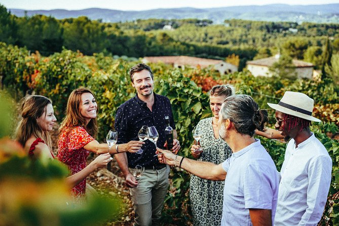 Provence Wine Tour - Private Day Tour from Nice - Why a private Provence wine day from Nice feels so efficient