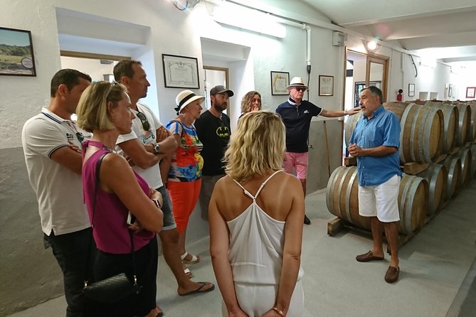 Provence Wine Tour - Private Day Tour from Nice - Chateau Font du Broc: organic wines with Argens valley views