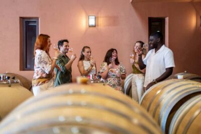 Provence Wine Tour – Private Tour from Nice