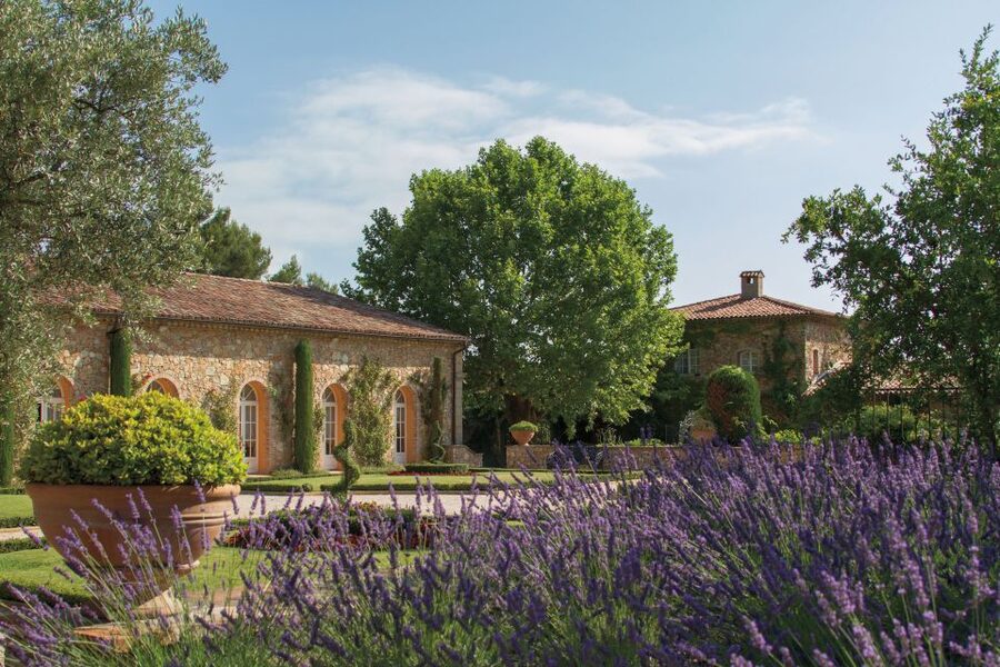Provence Wine Tour - Private Tour from Nice - Rosé, reds, and aromatic whites, plus what you learn to notice