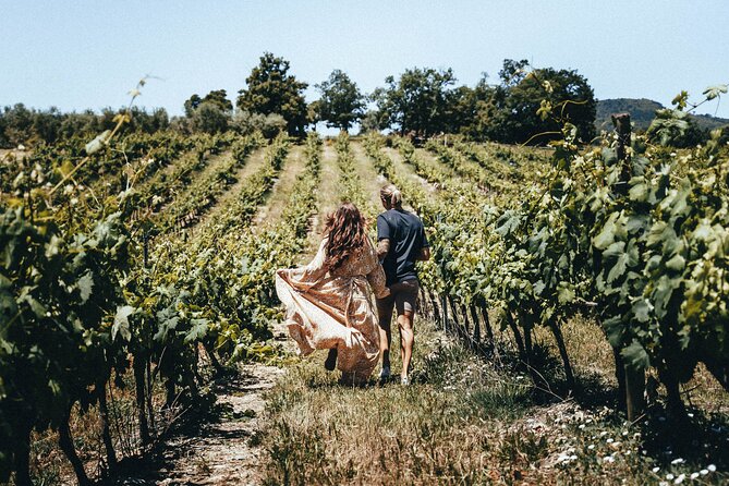 Provence Wine Tour - Small Group Tour from Cannes - Domaine des Féraud: Modern Meets Tradition in a Medal-Winning Organic Estate