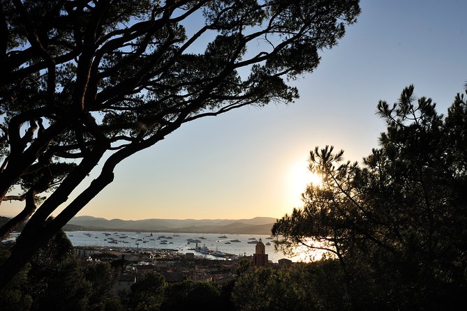 Saint-Tropez and Port Grimaud Day from Nice Small-Group Tour - Transport Value: What Your Money Actually Buys