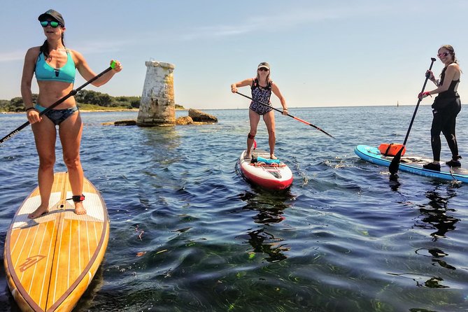 Stand-Up Paddle & Snorkeling with Local Guide near Nice - Key highlights worth planning around