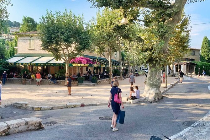 Taste of Provence, Countryside Villages - Half Day Private Tour - Who This Tour Suits Best, and Who Might Skip It