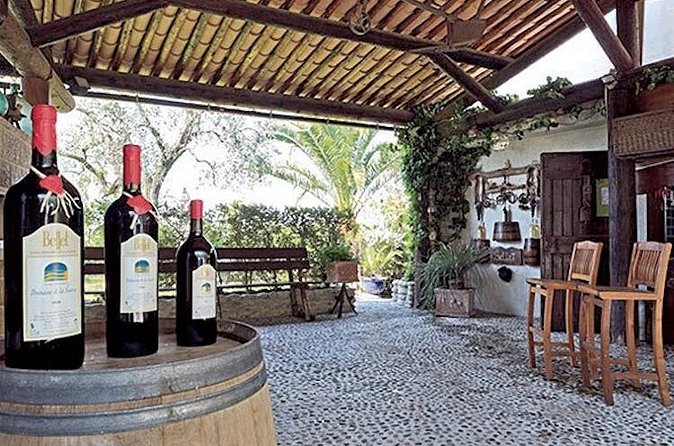 the Bellet wine tasting - Price and value: when the group rate makes sense