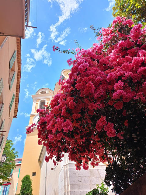 The Coastal Path hike from Nice to Villefranche - Your sea-side picnic lunch: how to make it work without rushing