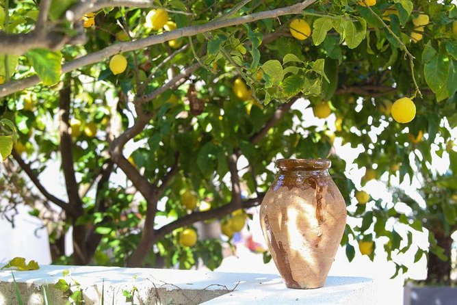 Viator Exclusive: Local Cooking Class & Dinner with View of Nice - The dinner is the lesson, and the pacing stays human