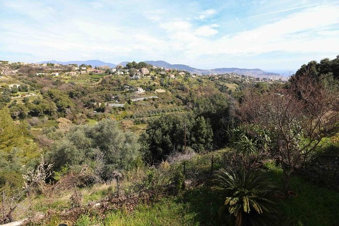 Viator Exclusive: Local Cooking Class & Dinner with View of Nice - Price and value: what $139.13 buys you in Nice