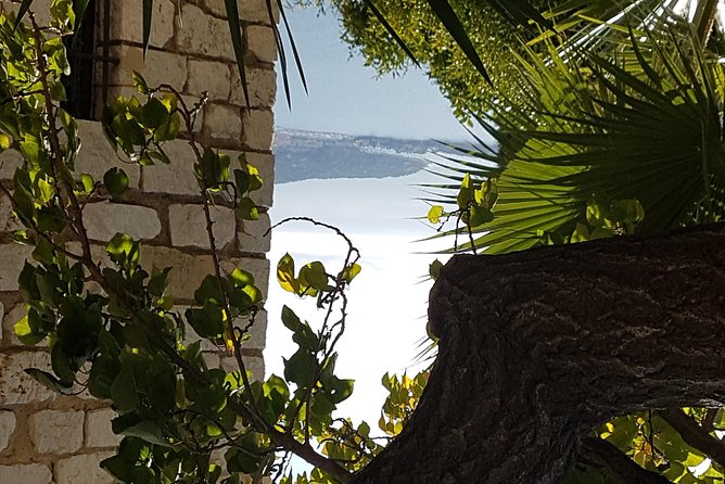 Villefranche Shore Excursion: 6 hrs Private Tour Eze and Monaco - Stop 2 in Vieux Eze: Medieval Lanes and the Exotic Garden Option
