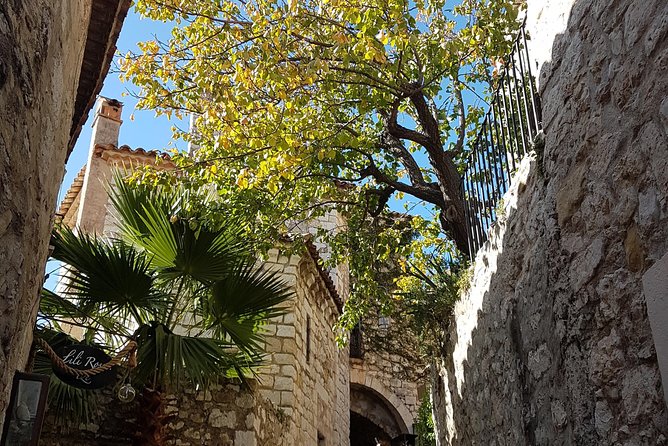 Villefranche Shore Excursion: 6 hrs Private Tour Eze and Monaco - Who This Private Eze and Monaco Tour Suits Best