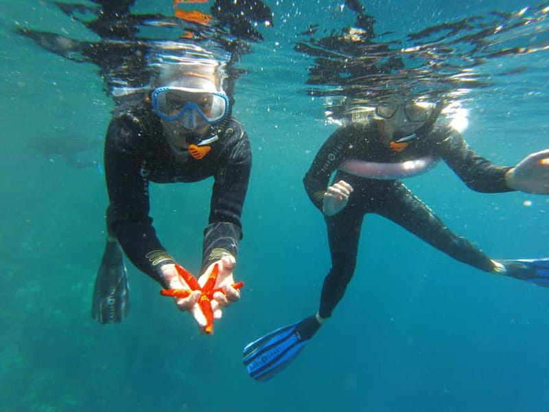 Villefranche-sur-Mer: Guided snorkeling to discover the aquatic world - Quick Key Points Before You Go