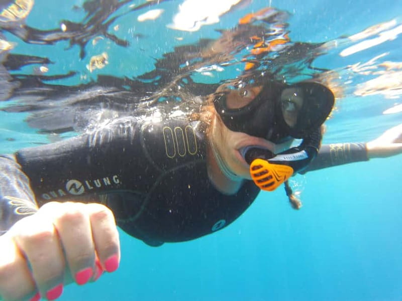 Villefranche-sur-Mer: Guided snorkeling to discover the aquatic world - Villefranche Harbor and Cap Ferrat Views That Start the Day Right