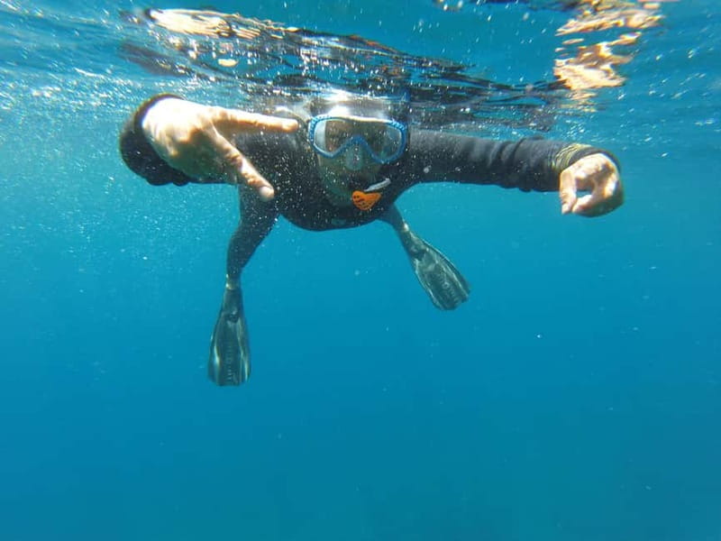 Villefranche-sur-Mer: Guided snorkeling to discover the aquatic world - The Boat Ride: Speedboat Timing and What You See From Rade de Villefranche