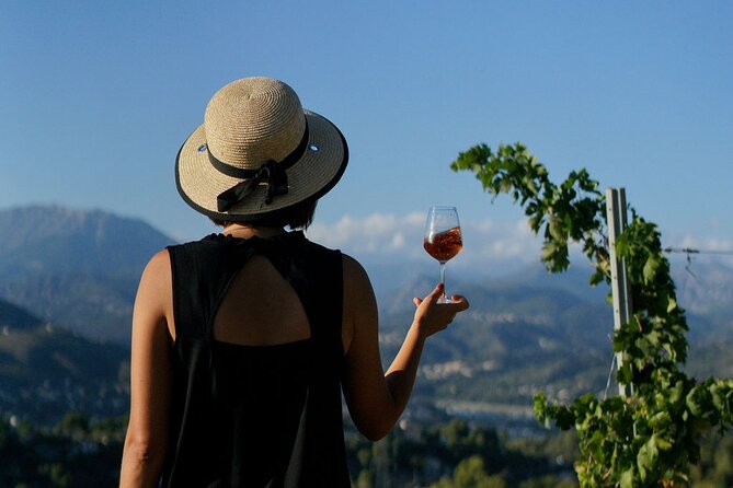 Vineyard Tour with Wine Tasting within Nice city borders - Your 1.5-hour flow, vines to cellar to tasting