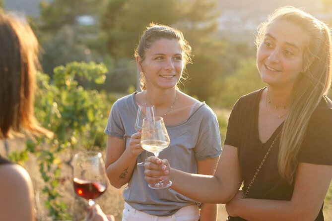 Vineyard Tour with Wine Tasting within Nice city borders - Views that make the hour and a half feel worth it