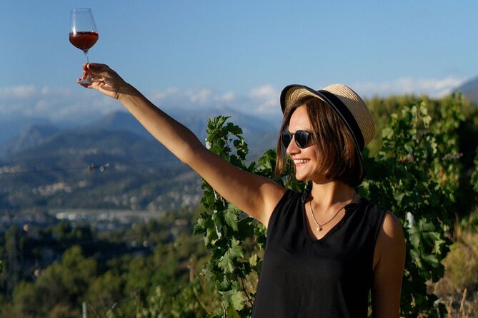 Vineyard Tour with Wine Tasting within Nice city borders - Price and value: $39.91 for 3 wines plus a real cellar visit