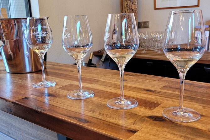Visit Mademoiselle Château and Wine Tasting on Hillsides of Nice - Olive-tree wine tasting: relaxing, scenic, and not too formal