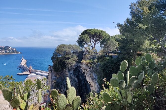Visit Nice in 2h with Local Certified Guide - Colline du Château viewpoints: Port Lympia and Mont Boron