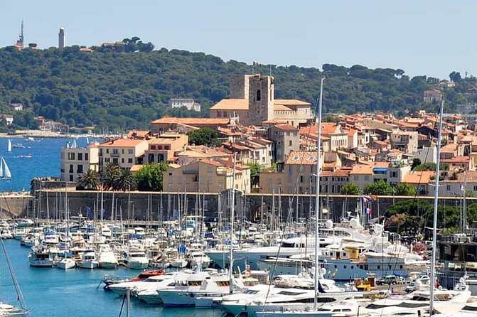 Wine Tasting, Provencal Market, Cannes and St Paul de Vence - Who this tour fits best (and who should choose something else)